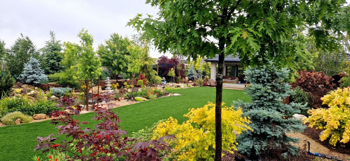 Zona centrală cu gazon