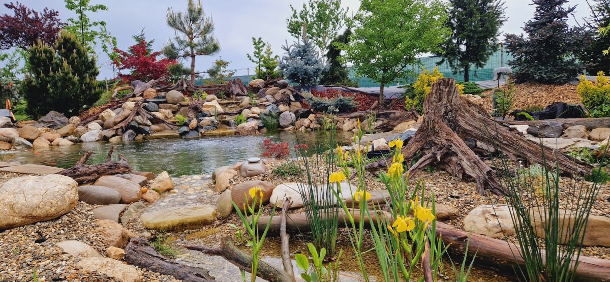 Iaz cu pești, curs de apă, cascadă