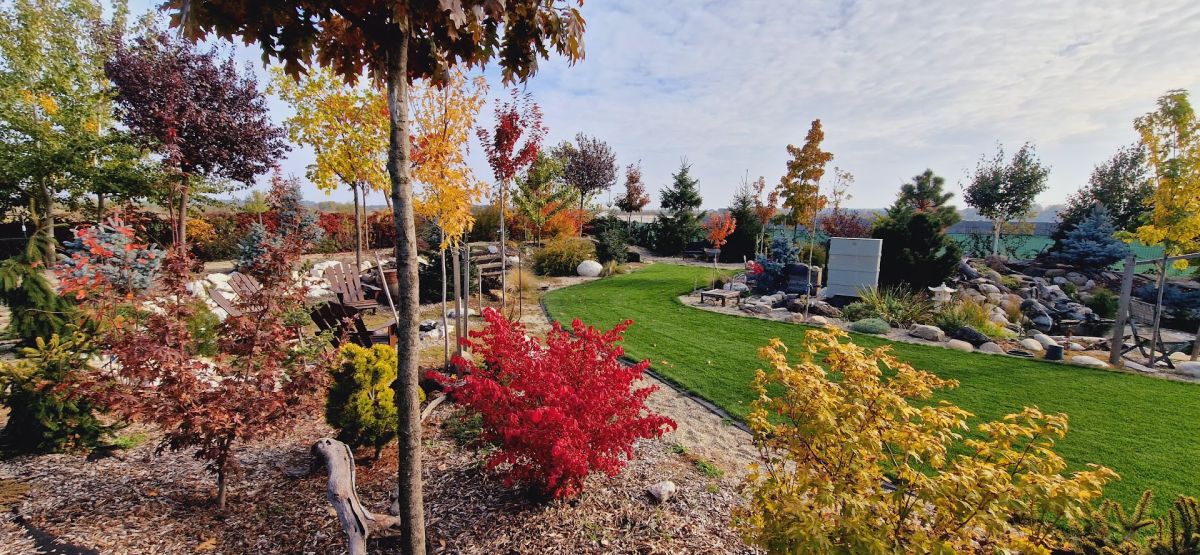 Toamna, grădina capătă o atmosferă complet diferită datorită varietății de arbori foioși.