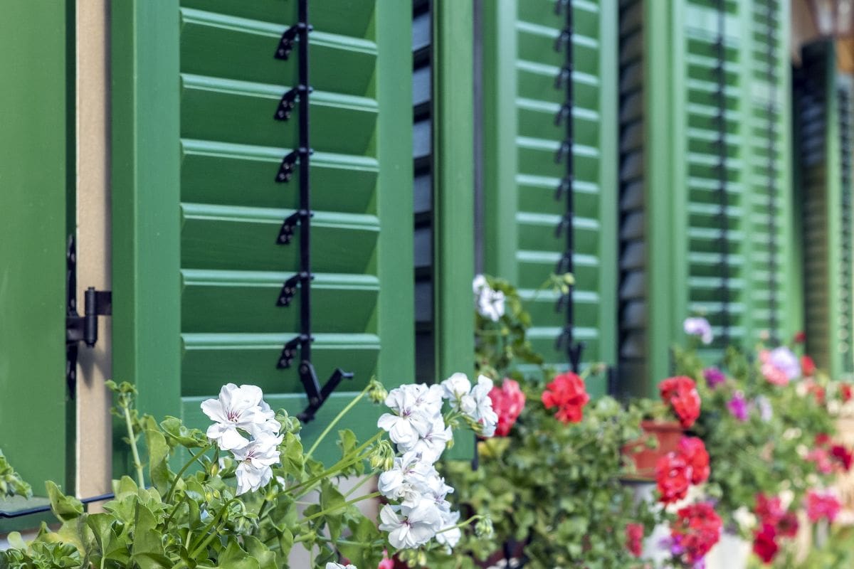 Obloane lemn verzi casă săsească Richiș