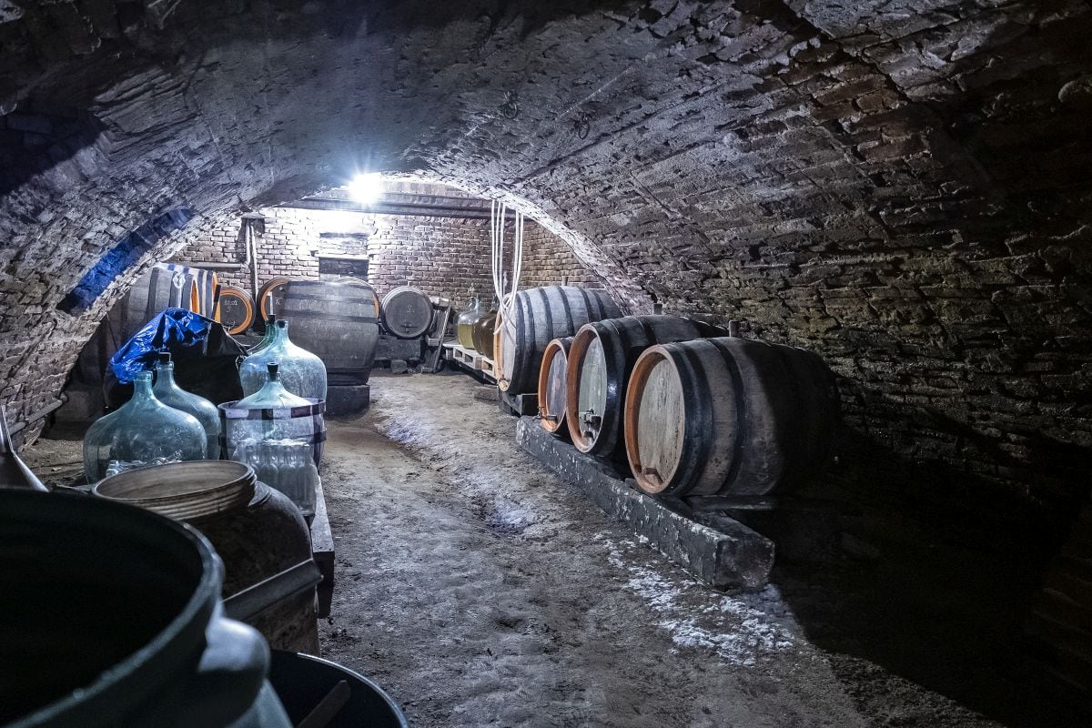 Pivnița din cărămidă pentru vinuri