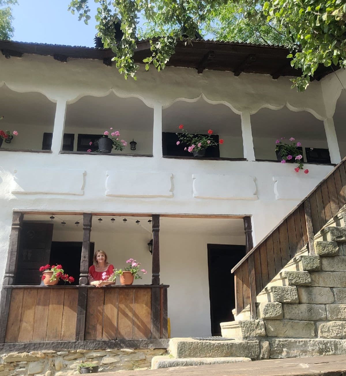 Prispa și scara Casa Măntescu