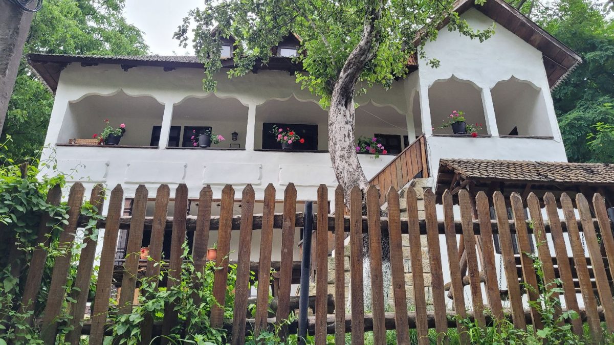 Fațadă Conacul Măntescu, Ruginoasa