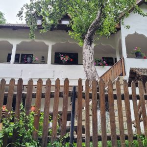 Fațadă Conacul Măntescu, Ruginoasa