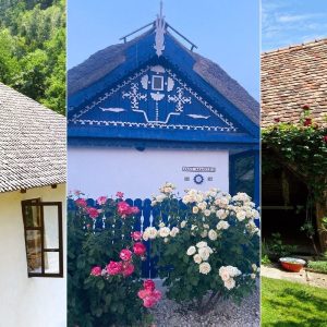 Alegere invelitoare acoperis casa traditionala