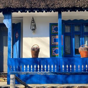 pridvor casa traditionala lemn albastru Delta Dunarii